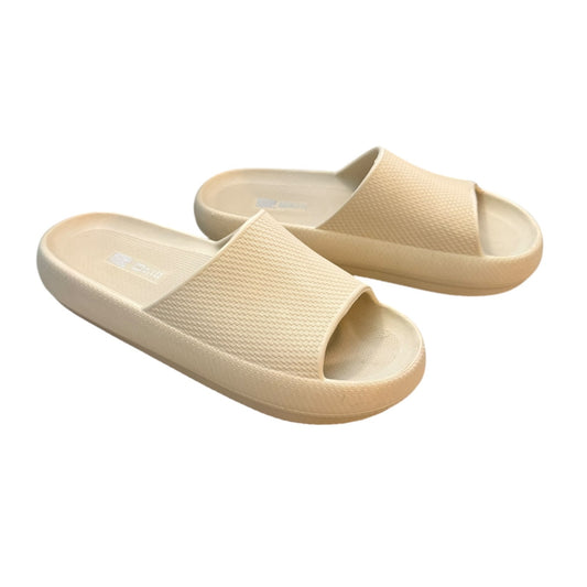 Pair of slides on a white background