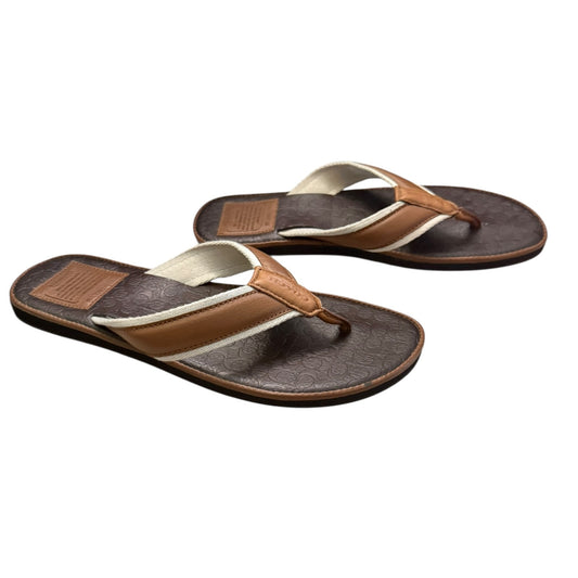Front side of a Pair of brown and beige flip-flops on a white background
