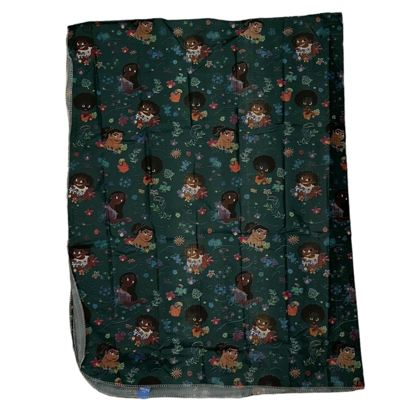 Disney Encanto tablecloth featuring characters and floral designs.