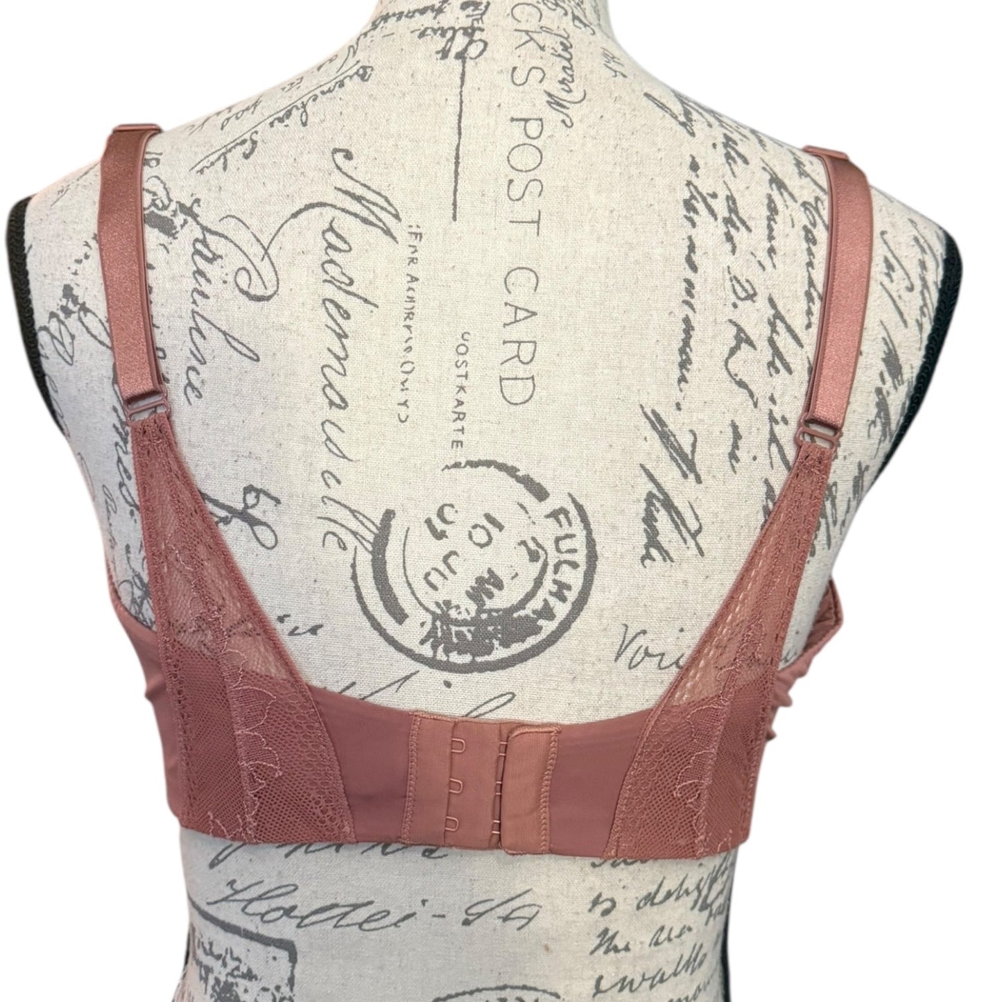 Back of pink bra on a mannequin with a vintage-style postcard background
