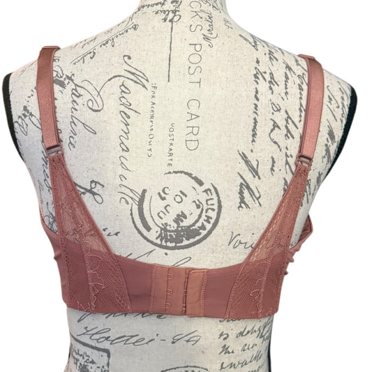 Back of pink bra on a mannequin with a vintage-style postcard background