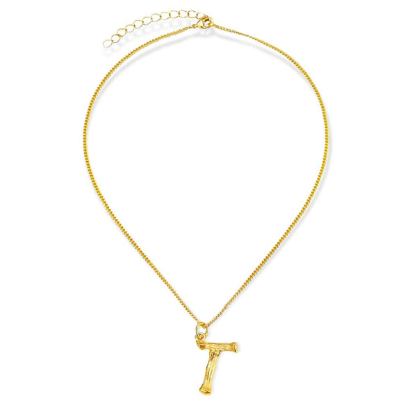 Front view of T necklace 1