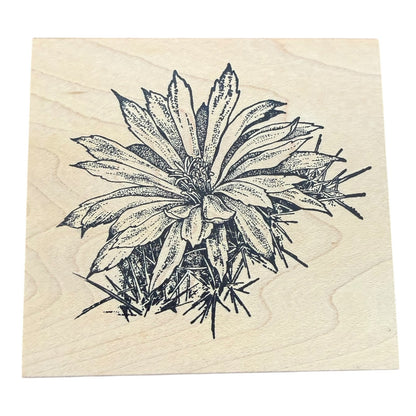 Serendipity Stamps 2005 G602 Cactus Flower Botanical Wood Mounted Rubber Stamp