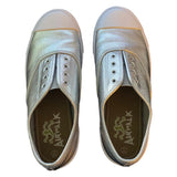 Top of silver shoes