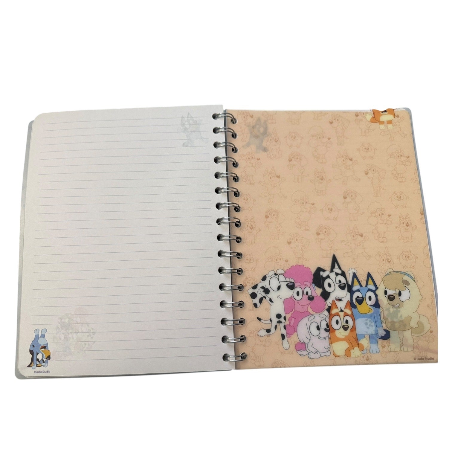interior of Notebook with cartoon animal design on one page and lined pages on the other, on a white background.