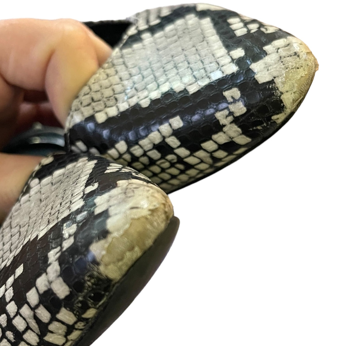A close-up of a hand holding a pair of snakeskin-patterned shoes against a plain white background.
