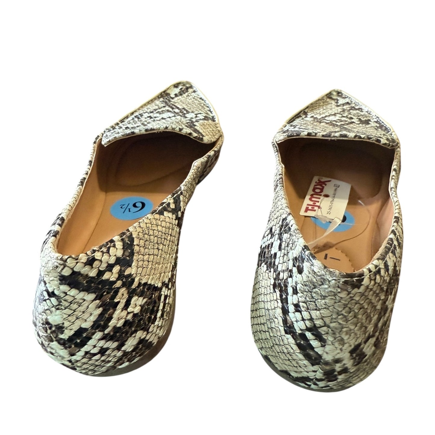 Pair of snake print shoes on a white background