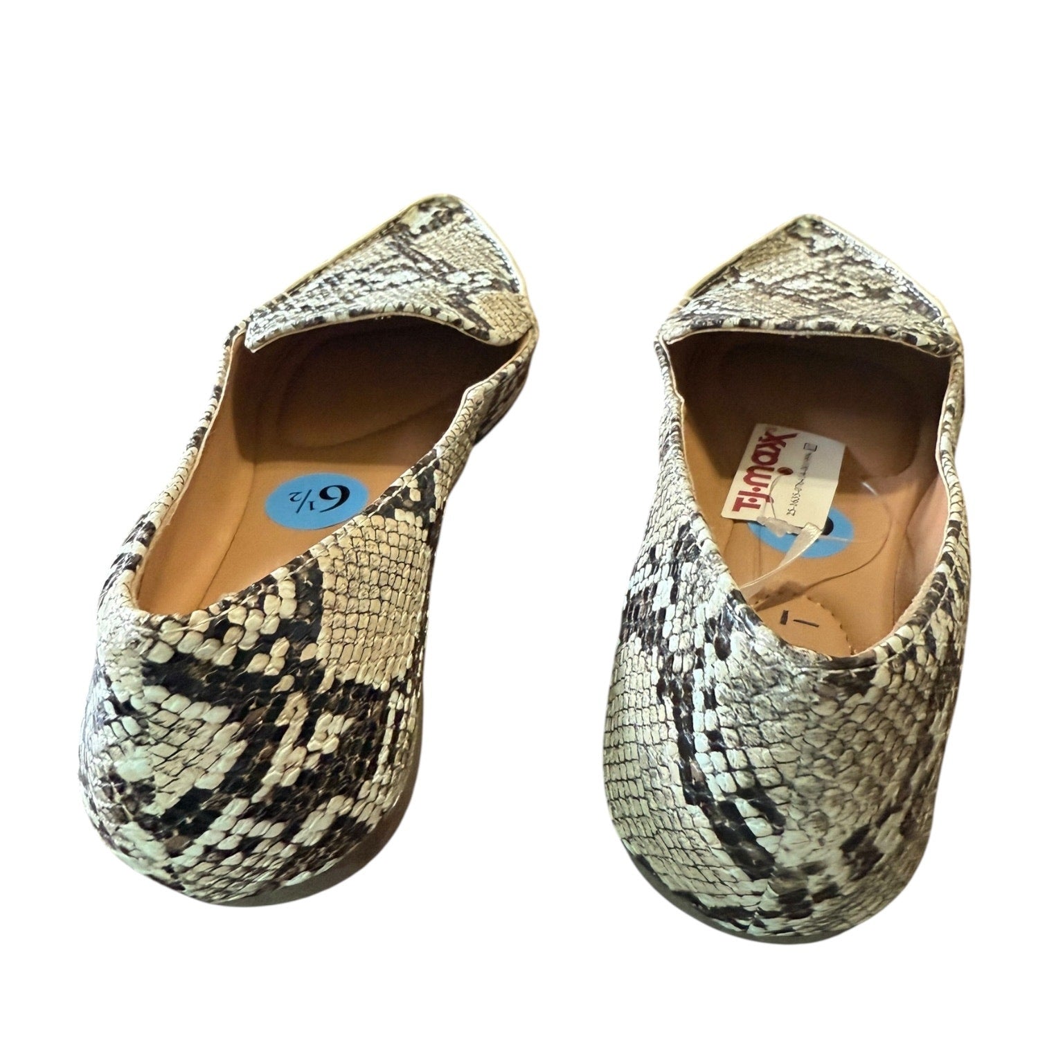 Pair of snake print shoes on a white background