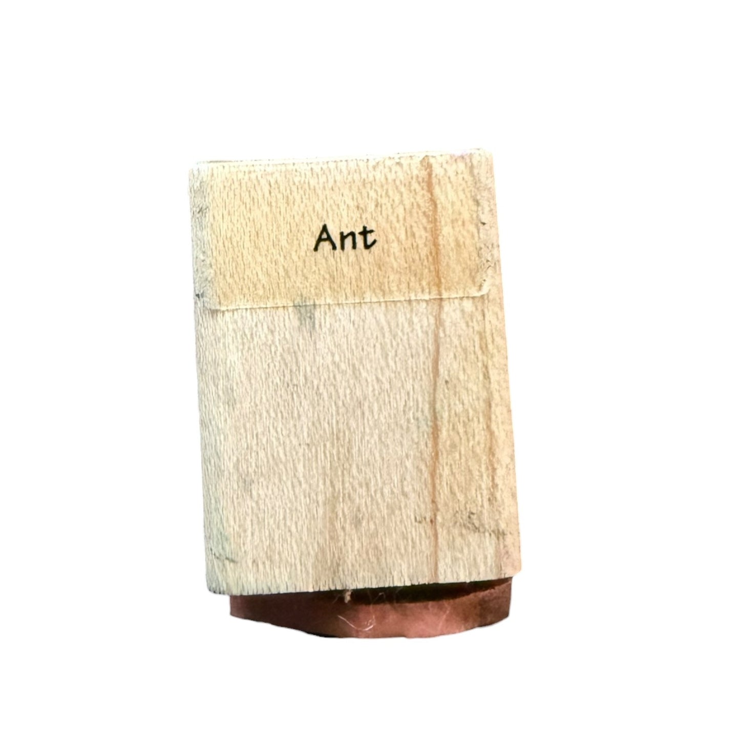 Hero Arts Black Ant Mini Rubber Stamp