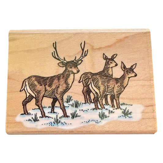 Stampendous! Vintage 1997 Whitetail Deer H110  Rubber Stamp