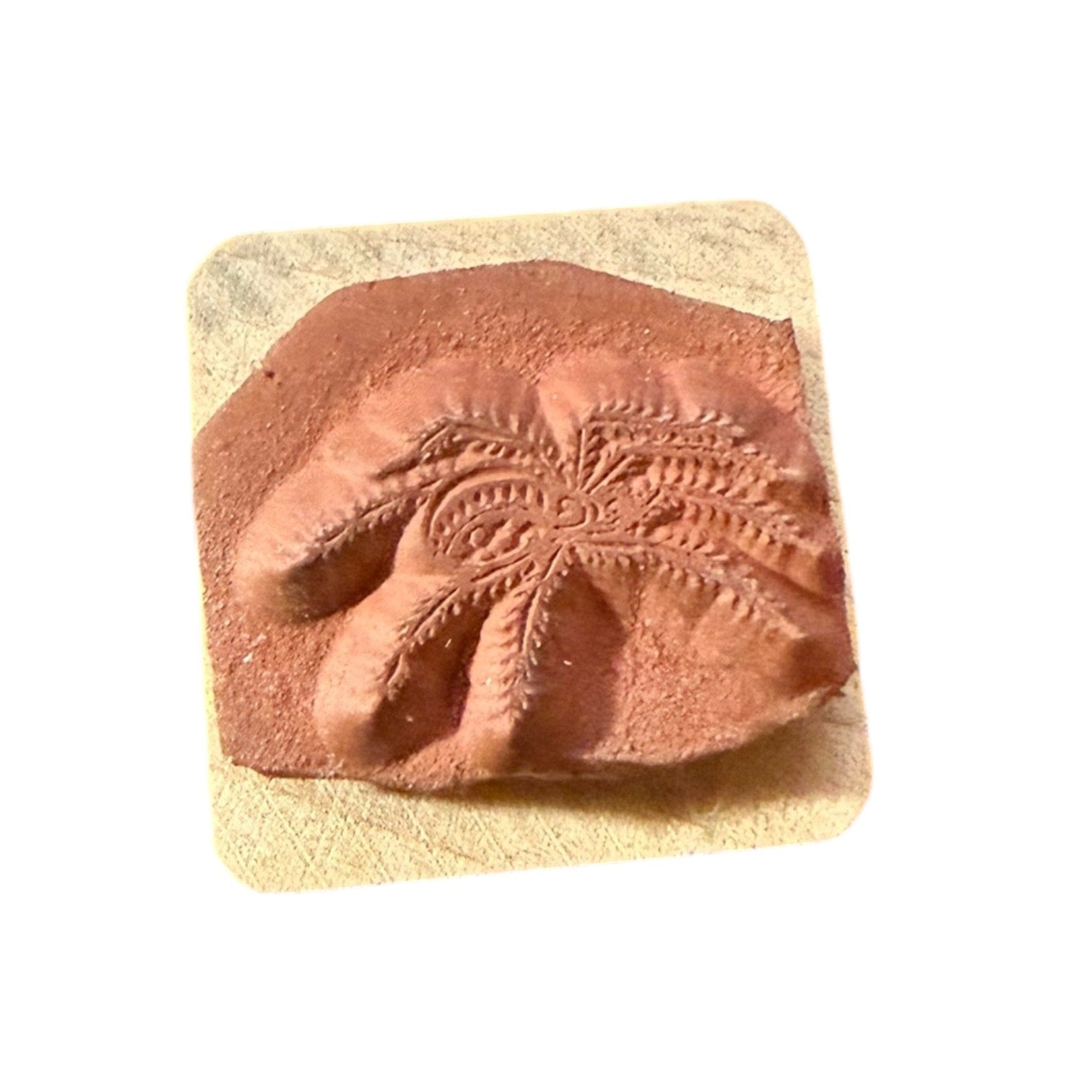 Rubber stamp with a spider on a white background