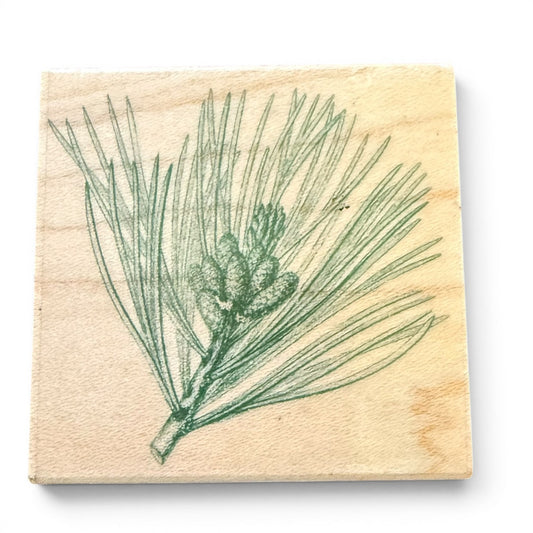 Wooden stamp with green pine branch and cones design on a beige background