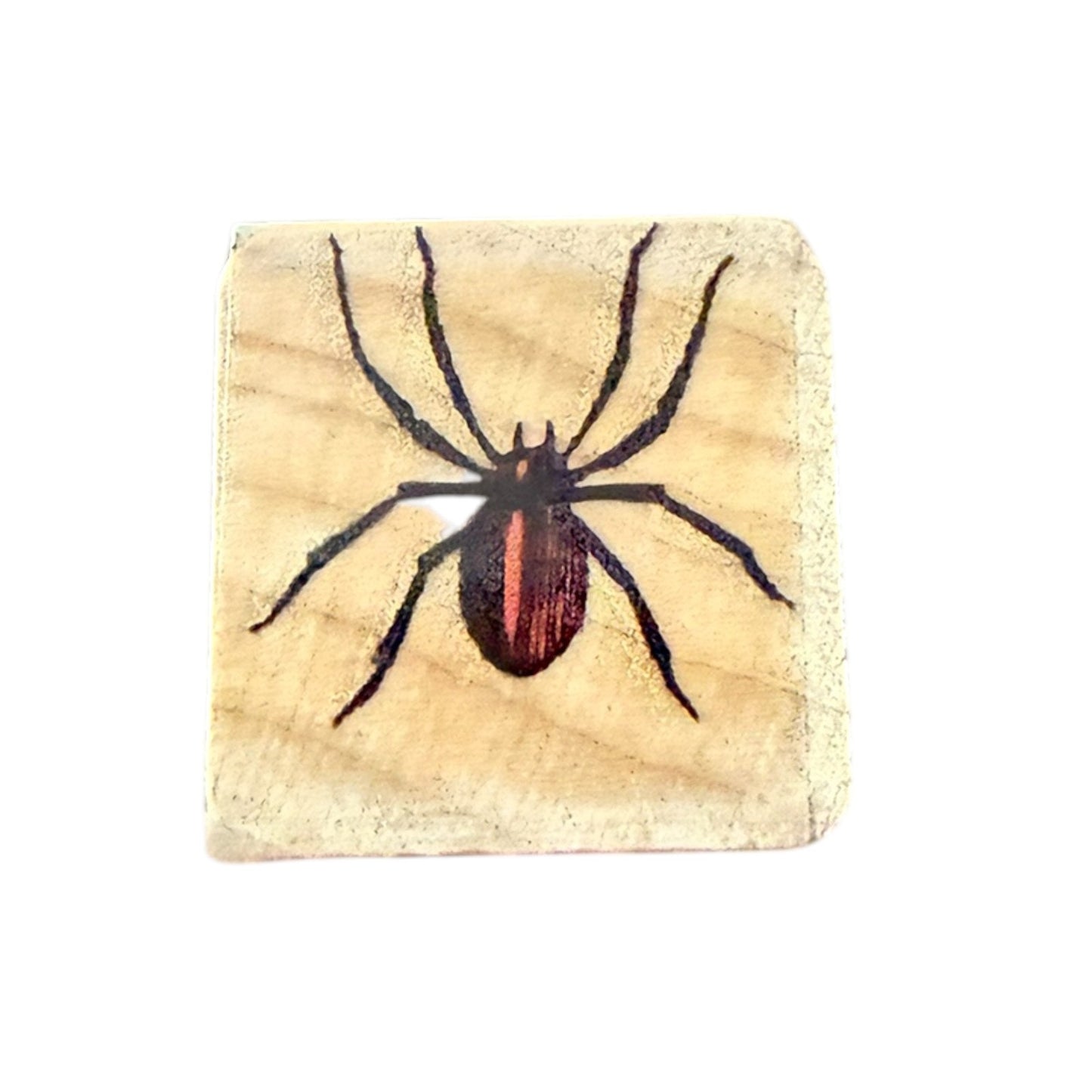 Stamp with a spider design on a wooden background