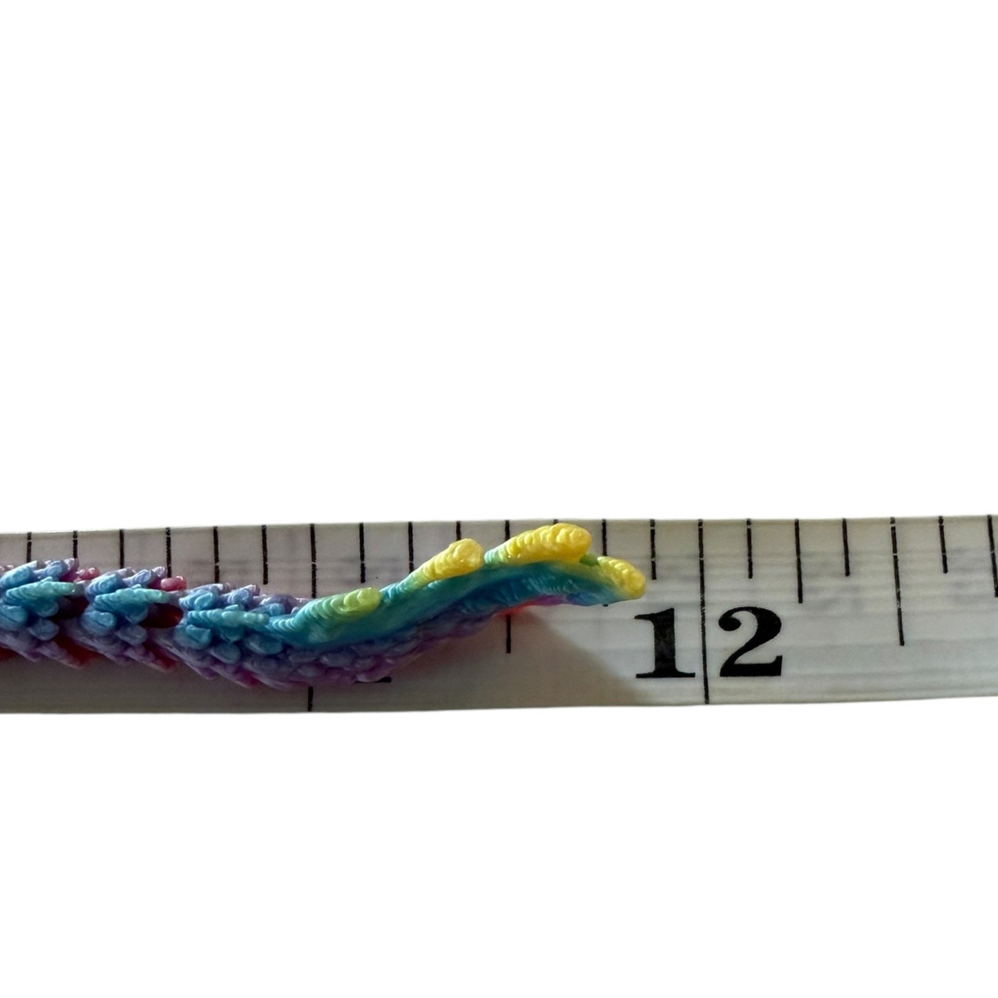 Colorfuldragon tail next to a measuring tape on a white background