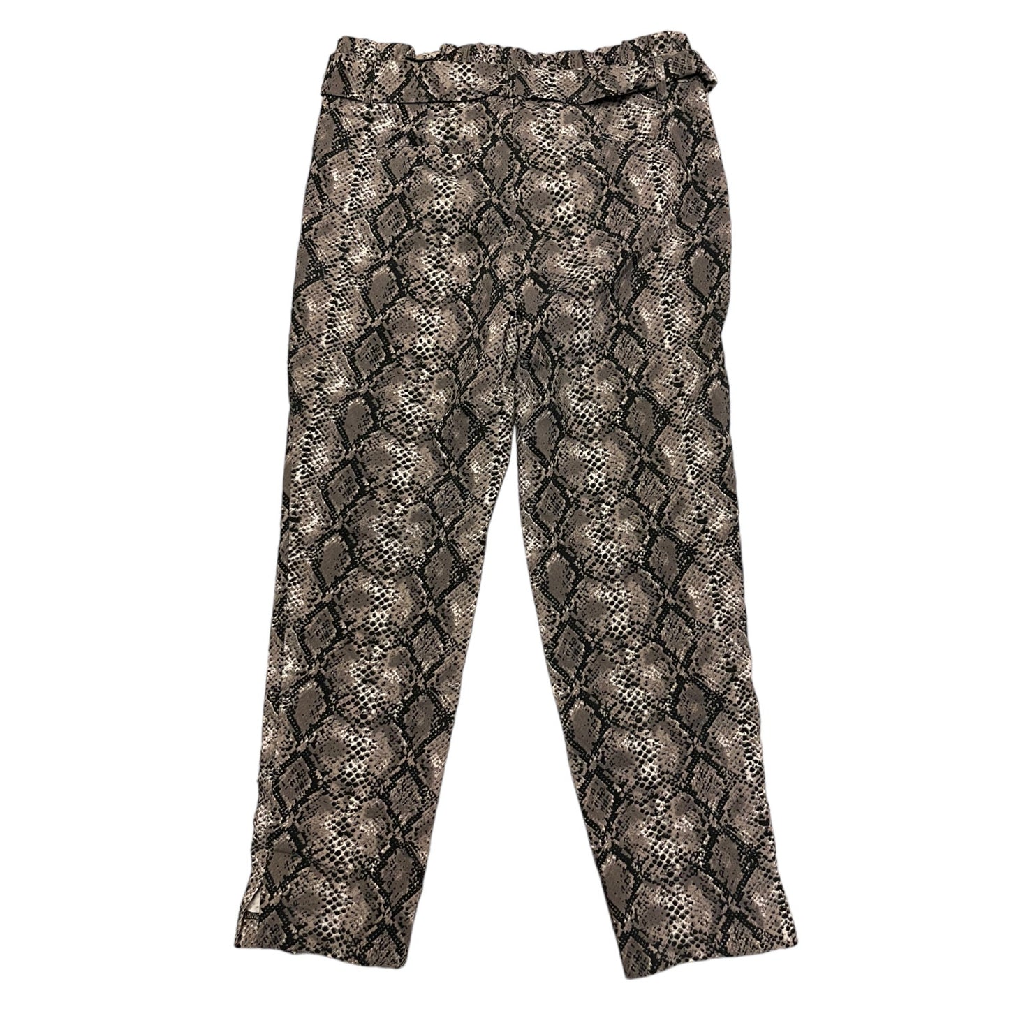 Back of Snakeskin patterned pants on a white background