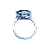 Back of ring view
