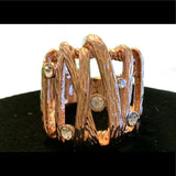 Front of cage ring 2