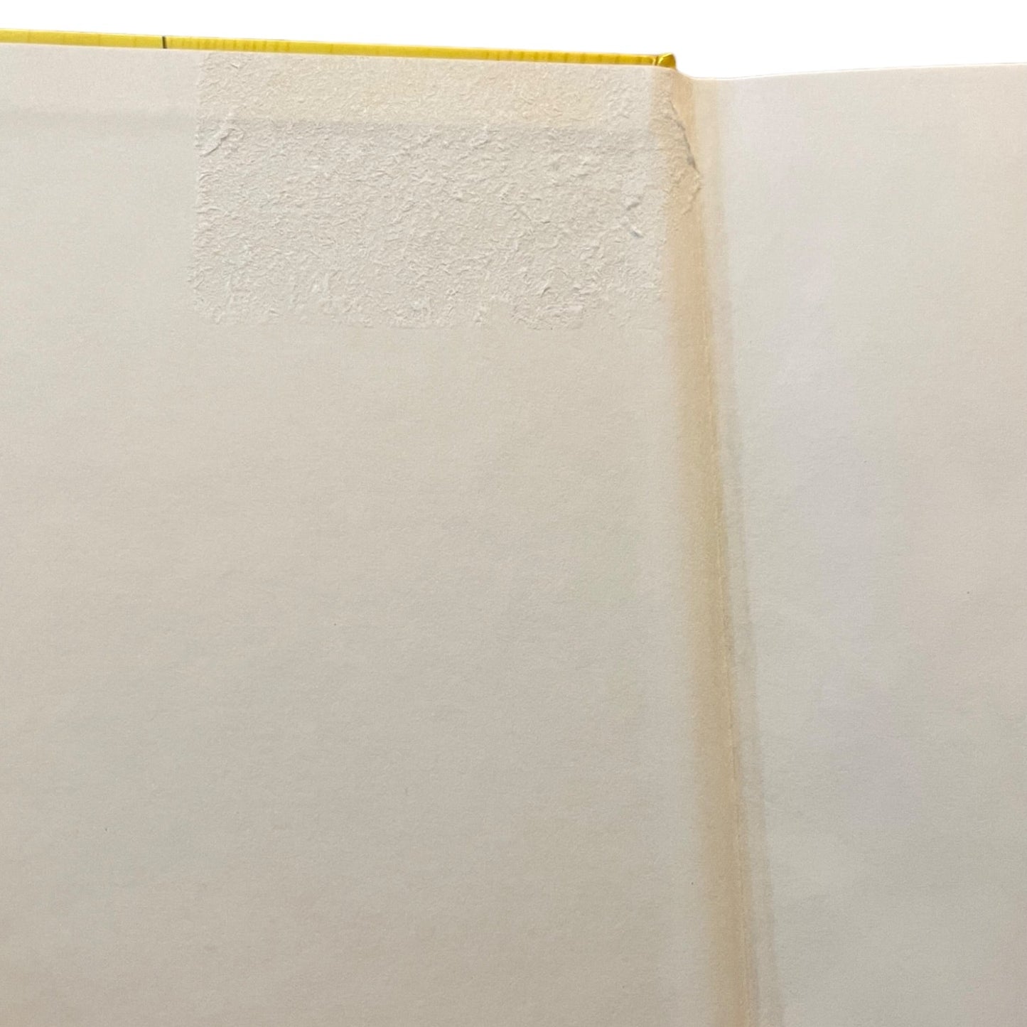 Close-up of a textured white surface damage with a yellow border