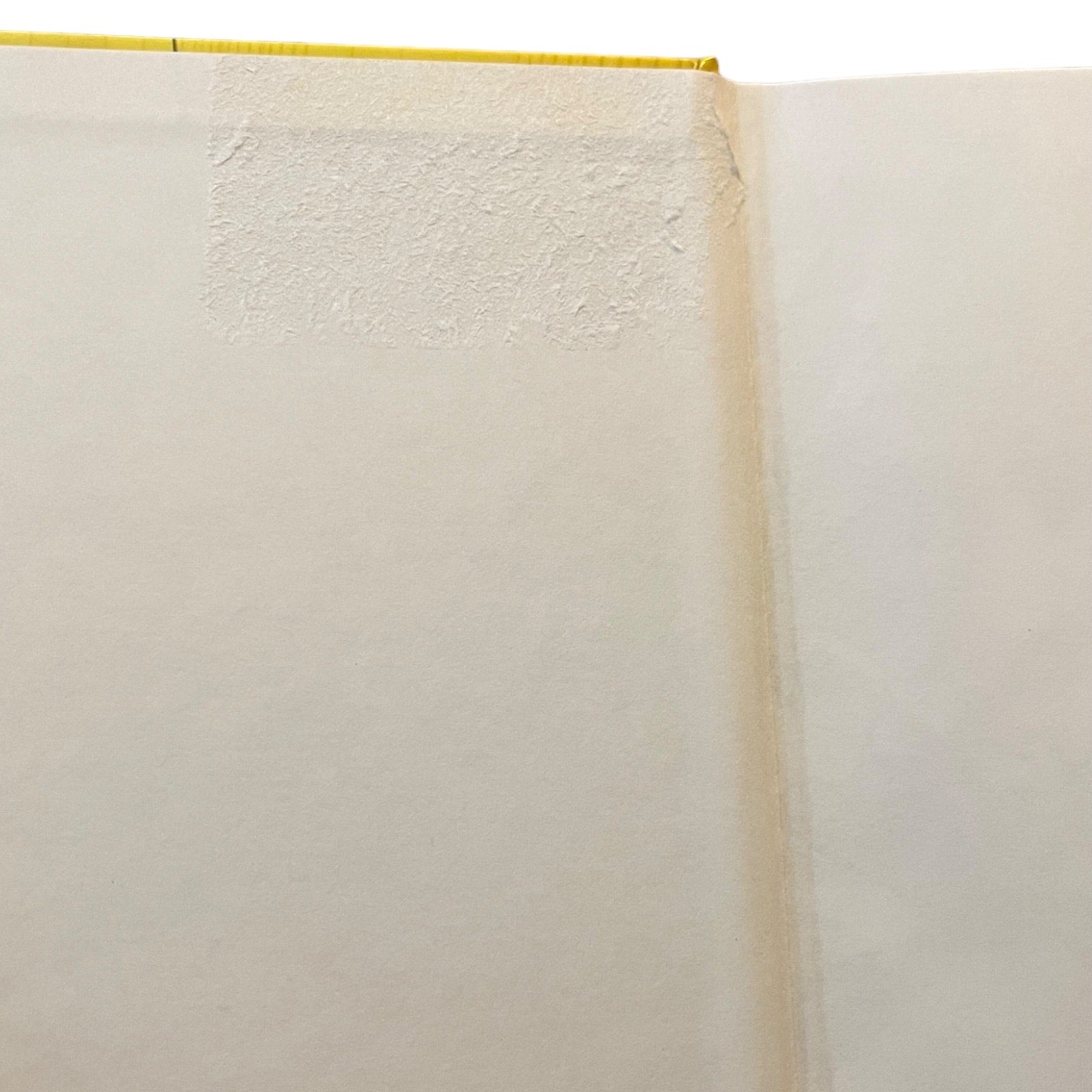 Close-up of a textured white surface damage with a yellow border