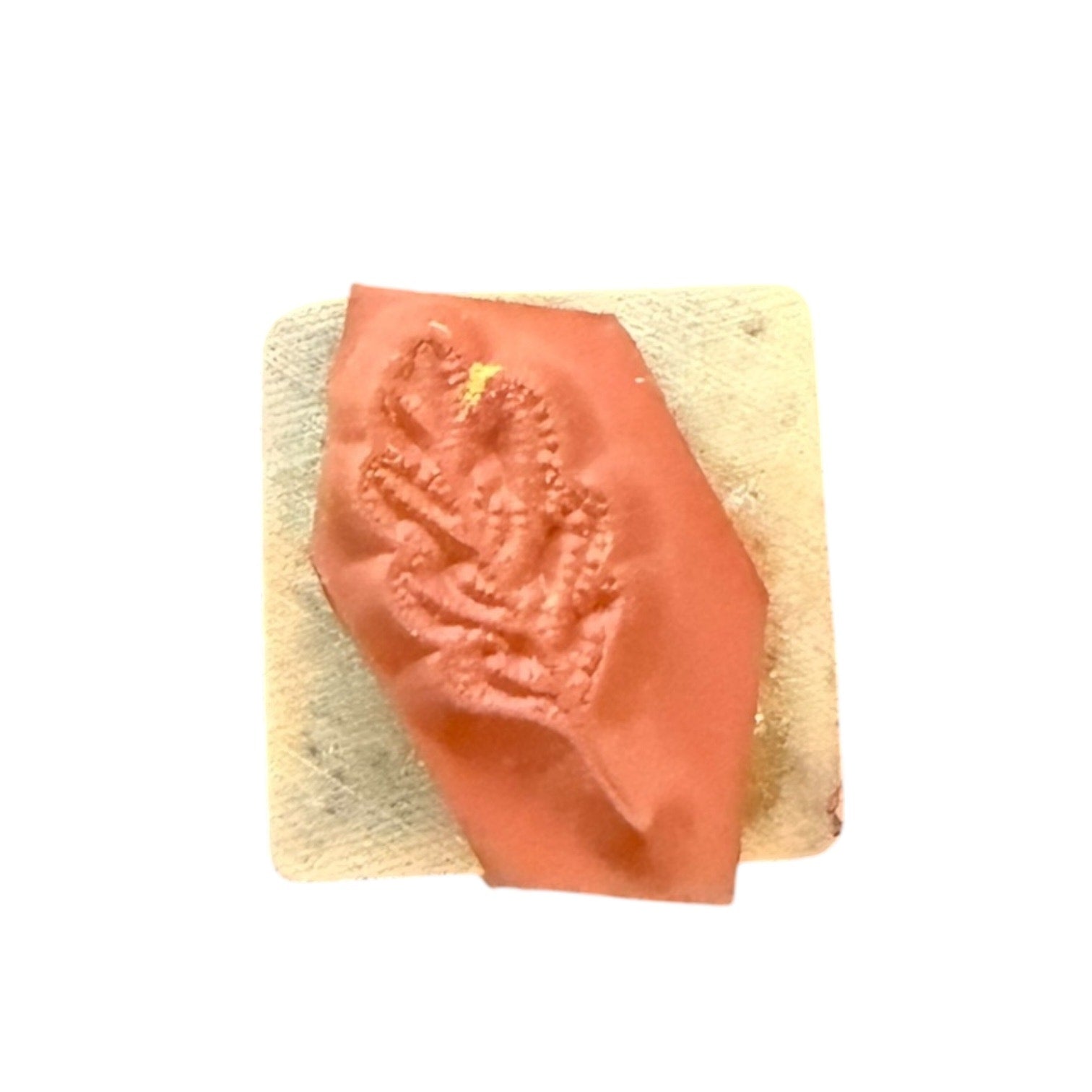 Leaf rubber stamp on a wood block with a white background