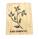 Wooden stamp with leaf design and 'Stampin' Up!' branding on a white background