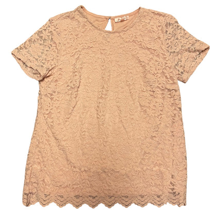 Pink lace top on a white background laying flat