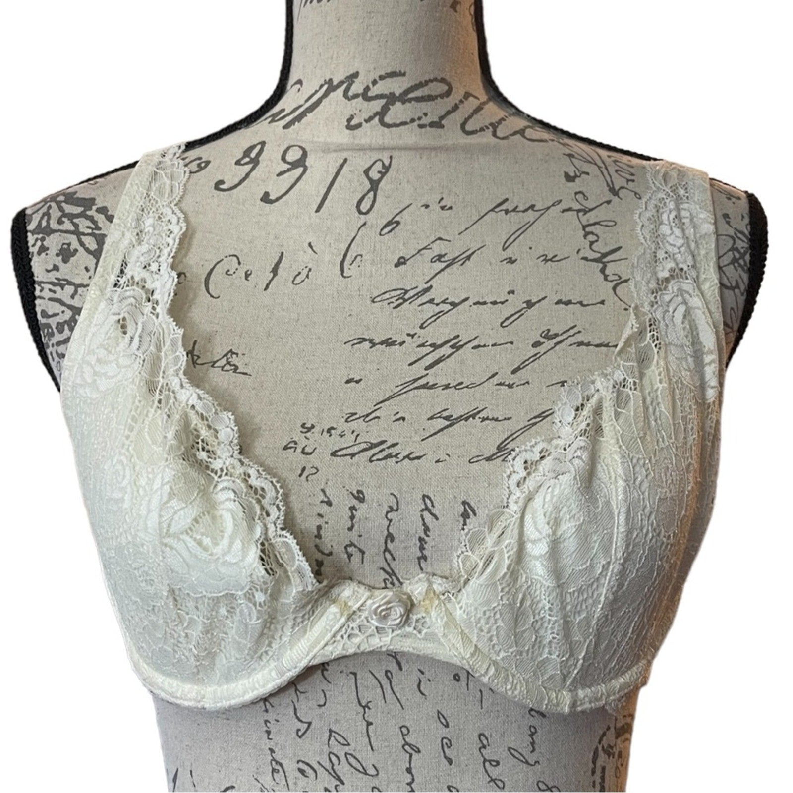 Cream lace bra on a mannequin with a script background