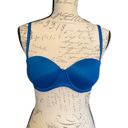 Front of Blue bra on a mannequin with a vintage-style background