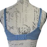 back of blue bra